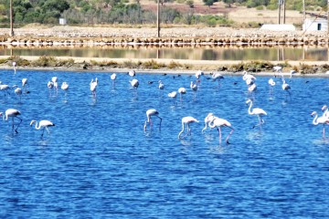 Secret Algarve Touring