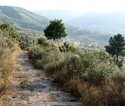 Roman road of Tintinolho