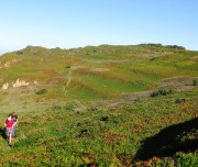 Green cliffs